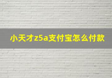 小天才z5a支付宝怎么付款