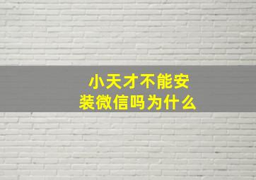 小天才不能安装微信吗为什么