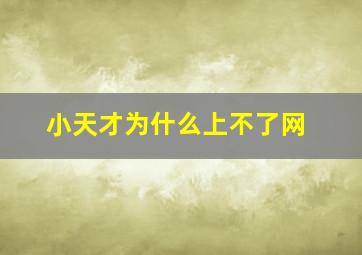 小天才为什么上不了网