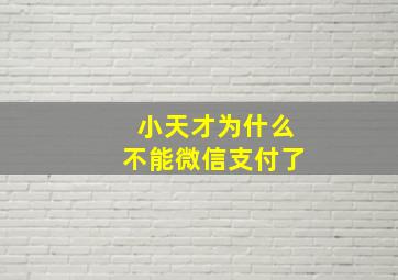 小天才为什么不能微信支付了