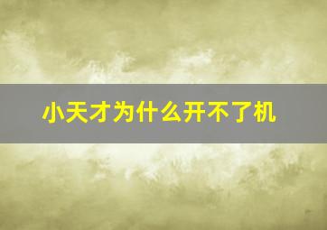 小天才为什么开不了机