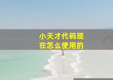 小天才代码现在怎么使用的