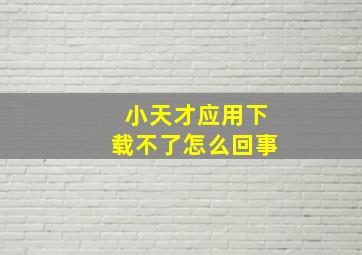 小天才应用下载不了怎么回事