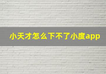 小天才怎么下不了小度app