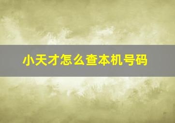 小天才怎么查本机号码