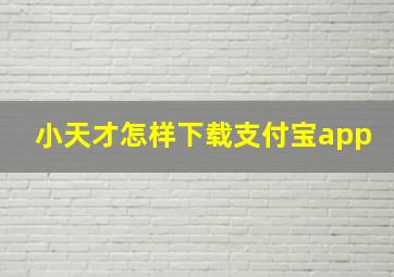 小天才怎样下载支付宝app