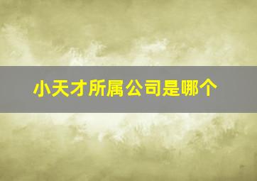 小天才所属公司是哪个