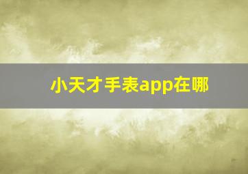 小天才手表app在哪