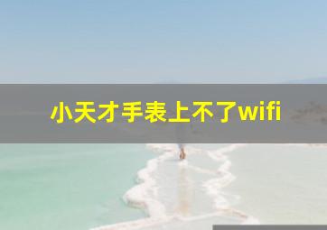 小天才手表上不了wifi