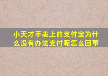 小天才手表上的支付宝为什么没有办法支付呢怎么回事