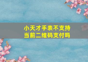 小天才手表不支持当前二维码支付吗