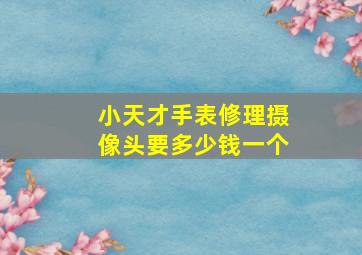 小天才手表修理摄像头要多少钱一个