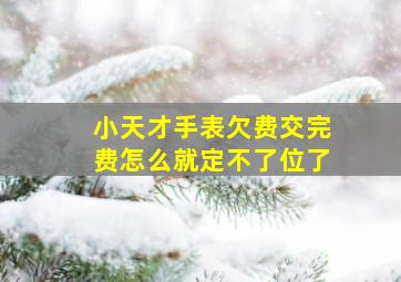 小天才手表欠费交完费怎么就定不了位了