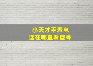 小天才手表电话在哪里看型号