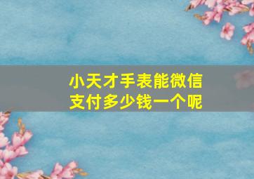 小天才手表能微信支付多少钱一个呢