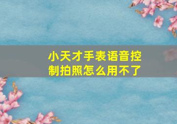 小天才手表语音控制拍照怎么用不了