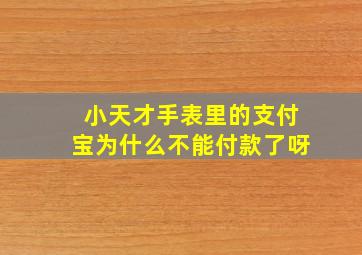 小天才手表里的支付宝为什么不能付款了呀