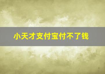 小天才支付宝付不了钱