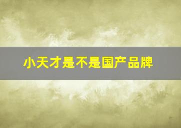 小天才是不是国产品牌