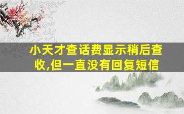 小天才查话费显示稍后查收,但一直没有回复短信