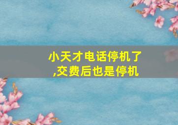 小天才电话停机了,交费后也是停机