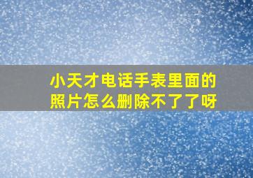 小天才电话手表里面的照片怎么删除不了了呀