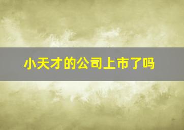 小天才的公司上市了吗