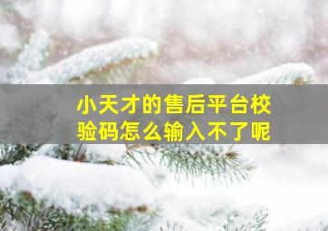 小天才的售后平台校验码怎么输入不了呢