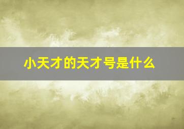 小天才的天才号是什么