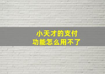 小天才的支付功能怎么用不了