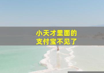 小天才里面的支付宝不见了