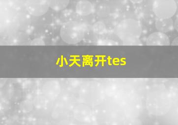 小天离开tes