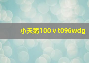 小天鹅100ⅴt096wdg