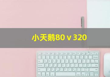 小天鹅80ⅴ320