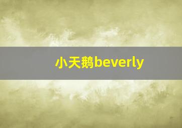 小天鹅beverly