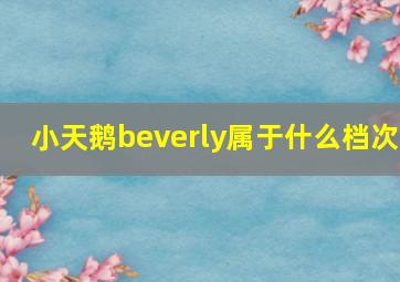 小天鹅beverly属于什么档次