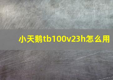 小天鹅tb100v23h怎么用