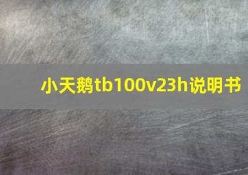 小天鹅tb100v23h说明书