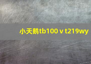 小天鹅tb100ⅴt219wy