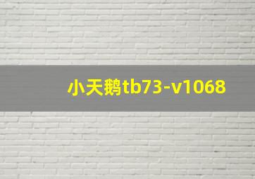 小天鹅tb73-v1068