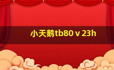 小天鹅tb80ⅴ23h