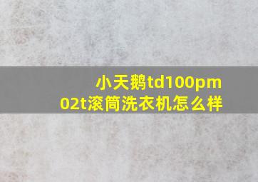 小天鹅td100pm02t滚筒洗衣机怎么样