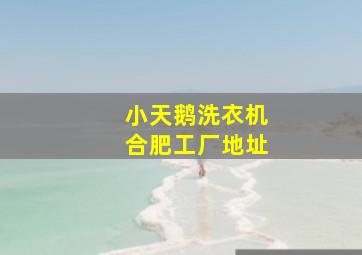 小天鹅洗衣机合肥工厂地址