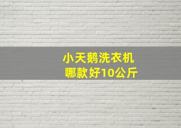 小天鹅洗衣机哪款好10公斤