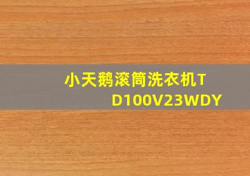 小天鹅滚筒洗衣机TD100V23WDY