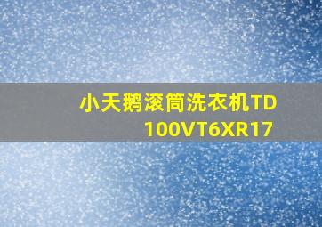 小天鹅滚筒洗衣机TD100VT6XR17