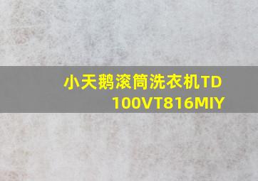 小天鹅滚筒洗衣机TD100VT816MIY