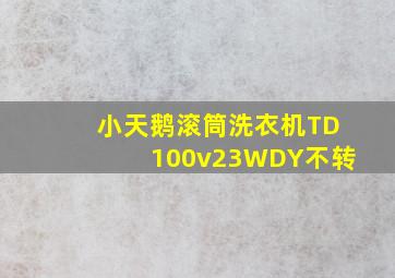 小天鹅滚筒洗衣机TD100v23WDY不转