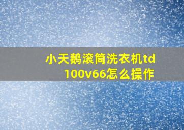 小天鹅滚筒洗衣机td100v66怎么操作