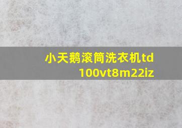 小天鹅滚筒洗衣机td100vt8m22iz